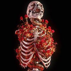 🌹 𝔅𝔩𝔬𝔰𝔰𝔬𝔪 🌹 . . . . . #billelis #3Dart #illustration #octane #artwork #octanerender #cinema4d #gold #darkart #print  #render #illustrator  #maxon #3D  #wallart #floral #art #skull #interiordesign #gothgoth #photoshop #wacom #gothic #skeleton #flowers #tattoo #adobe Decay Art, Skull Model, Growth And Decay, Gcse Art, Color Paper, Adobe Creative, Anatomy Art, Skull Art, Giclee Art