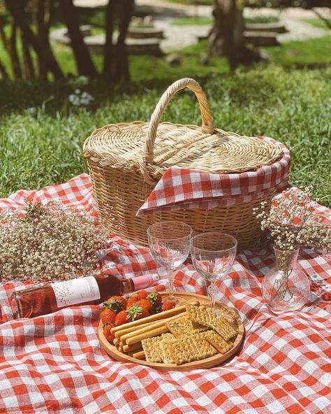 Picnic Red Aesthetic, Gingham Picnic Aesthetic, Big Picnic Basket, Picnic Mat Aesthetic, English Picnic Aesthetic, Retro Picnic Party, 70s Picnic Aesthetic, Picnic Wedding Theme, Picnic Basket Aesthetic