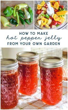 Jalapeno Canning, Canning Jelly, Jalapeno Pepper Jelly, Pepper Jelly Recipes, Peter Piper, Red Pepper Jelly, Jalapeno Jelly, Pickled Peppers, Sweet N Spicy