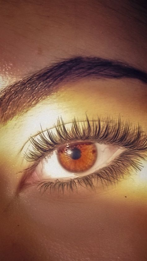 Brown eye during golden hour Brown Eyes With Gold Flecks, Dark Amber Eyes, Persephone Moodboard, Red Brown Eyes, Brown Eyes In The Sun, Honey Brown Eyes, Golden Brown Eyes, Brown Eyes Girl, Light Brown Eyes