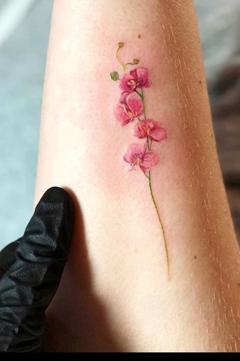 Vanda Miss Joaquim Tattoo, Delicate Orchid Tattoo, Bourgainvilier Flower Tattoo, Bougainvillea Flower Tattoo, Orchid Tattoo Color, Red Orchid Tattoo, Hawaiian Flower Tattoos For Women, Begonia Flower Tattoo, Fuschia Tattoo