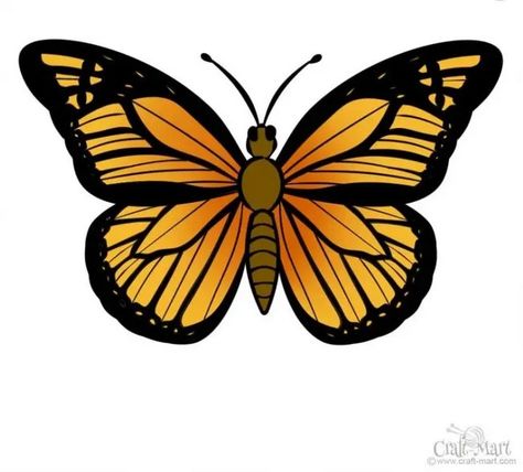 How to draw a butterfly step by step easy and fast Buterfluffy Drawings, Monarch Butterfly Drawing, Butterfly Drawing Ideas, Ghost Rider Drawing, Simple Cartoon Characters, Draw A Butterfly, Easy Butterfly Drawing, Butterfly Step By Step, Easy Animal Drawings