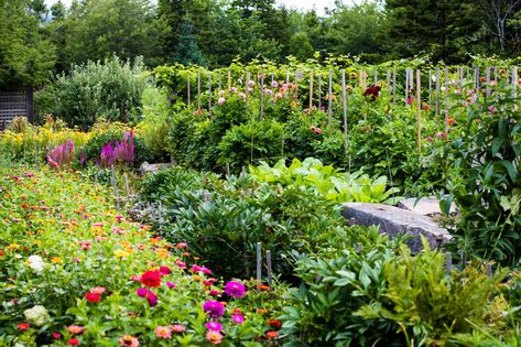 Take a Tour of Martha's Most Beautiful Gardens and Learn How She Created Each | Martha Stewart Martha Stewart Garden Layout, Martha Stewart Garden, Best Ground Cover Plants, Fall Container Plants, Diy Container Gardening, Fall Container Gardens, Garden Rake, Plant Mama, Color And Texture