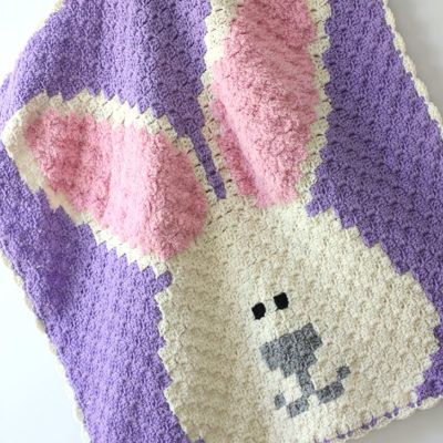 Crocheting Archives - Page 9 of 23 - Repeat Crafter Me Crochet Borders For Blankets, Crochet Kids Blanket, Crochet Pillow Patterns Free, C2c Crochet Blanket, Crochet Baby Gifts, Bunny Blanket, Repeat Crafter Me, Crochet Pillow Pattern, Crochet Baby Girl