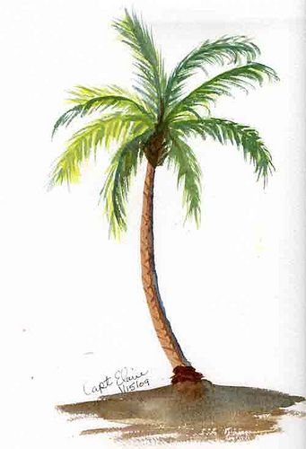 Oak Tree Drawings, Journal January, Palm Tree Drawing, Bordados Tambour, Palm Trees Painting, Palm Tree Art, Desain Lanskap, Tree Artwork, Tropical Tree