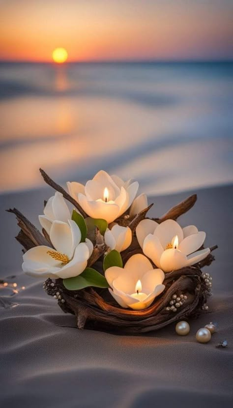 Candle Wallpaper, Candle Light Photography, Driftwood Sticks, Buddha Flower, Candle Photography Ideas, Lotus Flower Pictures, Candles Photography, Beautiful Ocean Pictures, Vintage Flowers Wallpaper