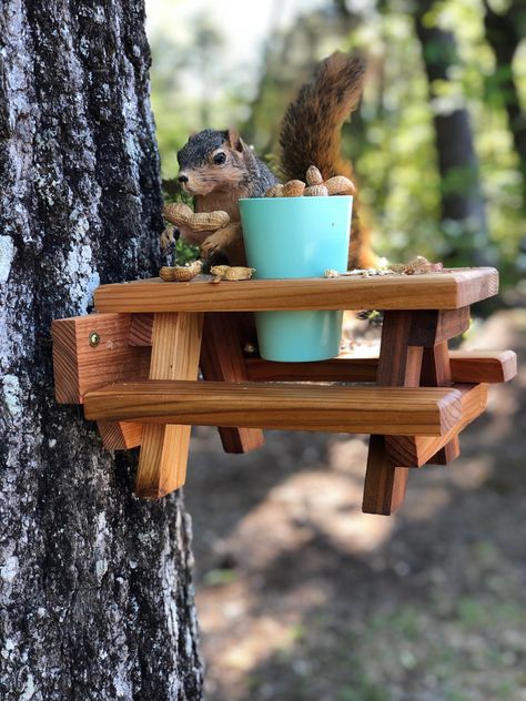 Squirrel Table, Squirrel Feeder Diy, Wood Squirrel, Squirrel Picnic Table, Squirrel Home, Squirrel Feeders, Squirrel Pictures, Bird Houses Ideas Diy, Squirrel Feeder