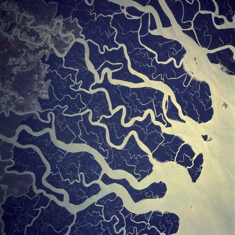 Ganges river from above Fractals In Nature, Ganges River, Aerial Photography Drone, River Delta, Satellite Image, Earth From Space, Aerial Photo, Photography Gallery, Birds Eye View