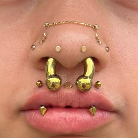 Multiple Lip Piercings, Mantis Piercing, Different Types Of Piercings, Vertical Labret, Anodized Titanium, Cool Piercings, Facial Piercings, Indie Jewelry, Types Of Piercings