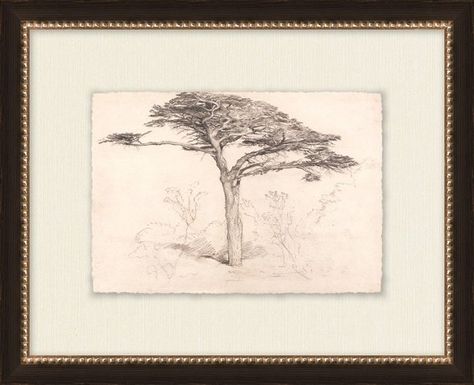 The Old Cedar Tree $210.00 Home Style Outfit, Cedar Tree, Copper Frame, Cedar Trees, Elephant Logo, Brown Frame, White Mat, Luxury Art, Post Impressionists