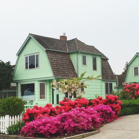 Mint Green House, Green Exterior House Colors, Green House Exterior, Painting Shutters, Colorful Cottage, Exterior House Color, Big Garden, Taking Photos, Green House