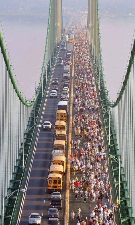 School Girlfriend, Mackinaw Bridge, Michigan Girl, Mackinaw City, Mackinac Bridge, School Buses, Michigan Travel, Michigan Usa, State Of Michigan