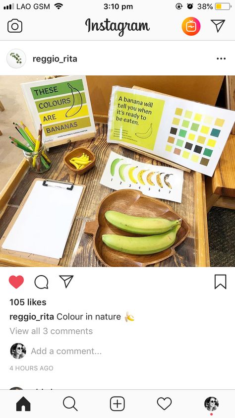 Reggio Banana observation and documentation - fruits theme Reggio Food Provocations, Banana Activity, Kids Nutrition Activities, Reggio Documentation, Kindergarten Inquiry, Food Lessons, Nutrition Activities, Healthy Plate, Fruits Drawing