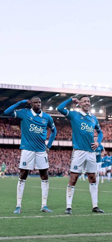 Premier League Wallpapers, Everton Wallpaper, Everton Football Club, Football Players Images, Goodison Park, Everton Fc, Football Pictures, Ufc, Football Club