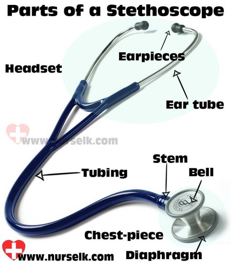 Stethoscope Parts, Ear Tubes, Doctor Medicine, Medical Facts, Medical School Studying, Gift Boxes For Women, Future Doctor, Med Student, Chest Piece