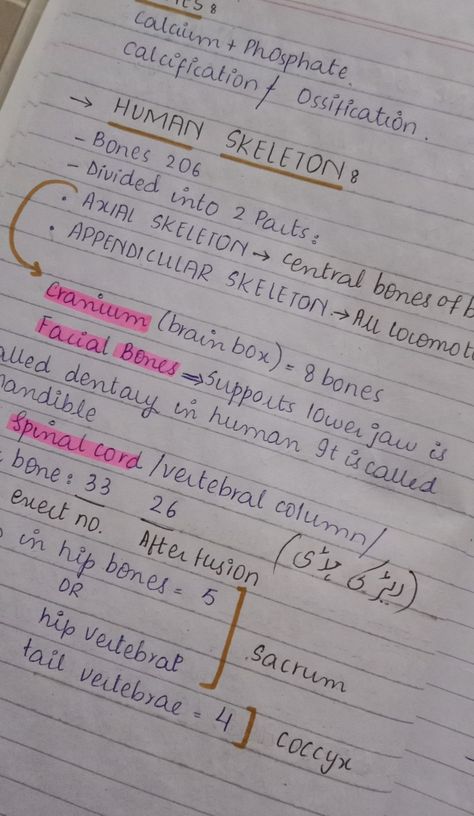 Axial skeleton Appendicular skeleton Axial Skeleton Anatomy, Appendicular Skeleton, Axial Skeleton, How I Take Notes, Anatomy Images, Skeleton Anatomy, Class 9, Nurse Stuff, Human Skeleton