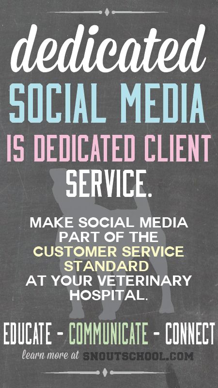 Veterinary hospitals should consider social media part of client service. A great though for a veterinary practice manager to share with a veterinarian or vet tech! Learn more at www.snoutschool.com Vet Office Manager, Veterinary Practice Management, Veterinary Organization, Veterinary Social Media, Veterinary Marketing, Veterinary Humor, Practice Manager, Veterinary Receptionist, Interview Help