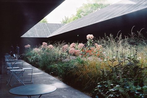 Serpentine Pavilion, arch. Peter Zumthor, London 2011 Serpentine Pavillion, Serpentine Gallery Pavilion, Therme Vals, Serpentine Pavilion, Pavilion Architecture, Peter Zumthor, Pavilion Design, Outdoor Pavilion, Backyard Pavilion