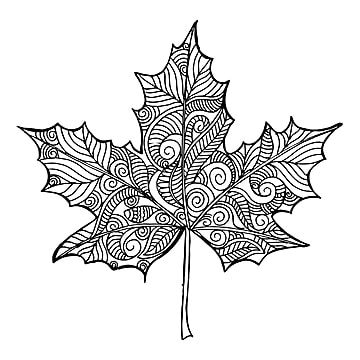 hand,drawn,black,white,drawing,handmade,artistic,sketchy,sketch,floral,leaf,leaves,nature,natural,bloom,blooming,plant,autumn,season,seasonal,autumnal,fall,falling,love,warm,branches,branch,beautiful,elegant,lovely,adult,leaf vector,leaves vector,floral vector,love vector,plant vector,nature vector,black vector,sketch vector,beautiful vector,branch vector Arte Doodle, Black Png, Leaf Illustration, Fall Coloring Pages, Black And White Background, Lukisan Cat Air, Leaf Coloring, Cool Coloring Pages, Family Art