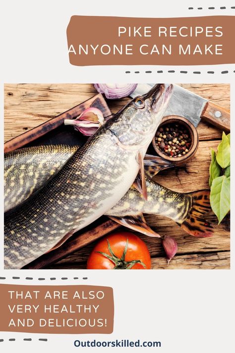 Discover 3 Amazing pike recipes everyone can try at home today plus the benefits of eating pike that you may not know about Pike Recipes Fish, Northern Pike Recipes, Northern Pike Recipe, Pike Recipes, Fish To Eat, Easy To Make Recipes, Pike Fish, Fish Burger, Butter Bread