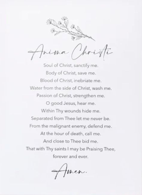 Anima Christi Prayer, Anima Christi, Blood Of Christ, Divine Mercy, Scorpio Zodiac, Call Me, Jesus, Let It Be, Gifts