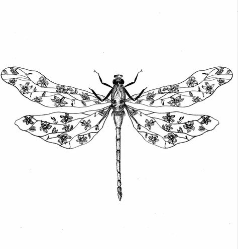 Dragonfly Knee Tattoo, Dragonfly Tatoos, Tattoo Dragonfly, Tattoo Aesthetics, Lil Drawings, Tattoos And Their Meanings, Dragonfly Drawing, Bat Shape, Flying Tattoo