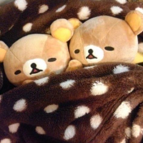 Rilakkuma Pfp, Rilakkuma Plushie, Toro Inoue, Small Letter, Kawaii Plushies, Cute Stuffed Animals, Rilakkuma, Cute Characters, 귀여운 동물