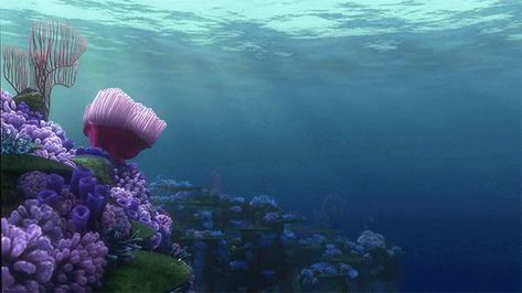 Finding Nemo 2003, Pixar Films, Film Disney, Ocean Scenes, Tropical House, Finding Dory, Under Water, Aquarium Backgrounds, Finding Nemo