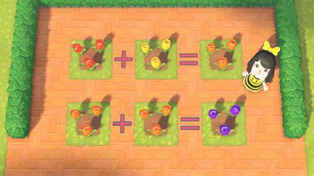 How to Make Purple Tulips | ACNH - Animal Crossing: New Horizons (Switch)｜Game8 Flower Breeding Guide Acnh, Hybrid Flowers, How To Make Purple, Purple Mums, List Of Flowers, Mums Flowers, Red Lily, Orange Tulips, Acnh Ideas