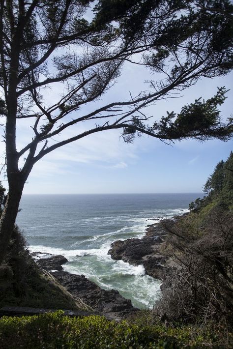 15 Best Things to Do in Yachats, OR Yachats Oregon, Manifesting 2024, Outdoor Aesthetic, Central Oregon, Anniversary Trips, Covered Bridges, Oregon Coast, Travel Inspo, National Forest