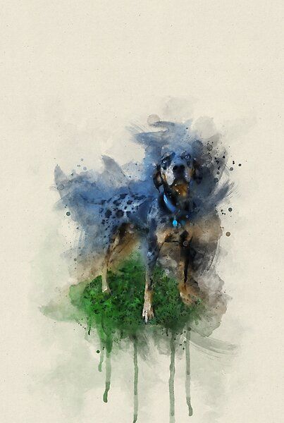 Catahoula Dog, Leopard Dog, Shiva Painting, Blue Leopard, Lord Shiva Painting, Dog Names, Lord Shiva, Mans Best Friend, Shiva