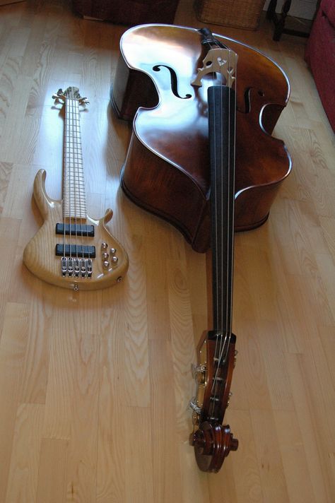 Double Bass Aesthetic, Mason Core, Jazz Bassist, Bass Instrument, Double Bass Player, Orchestra Music, The Archer, Pokemon Gifts, Double Bass