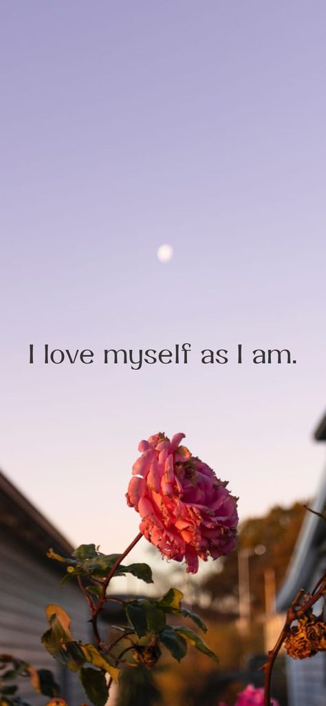 Just As I Am, I Am Her Aesthetic, I Am The Love Of My Own Life, I Love Being Me, I Love Who I Am, I Love Myself Quotes Beautiful Words, I Am Beautiful Wallpaper, I Love Myself Quotes Woman Inspirational, I Am Obsessed With Myself