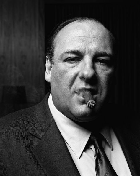 James Gandolfini (1961-2013) - American actor. Photo by Timothy White Famous Cigars, James Gandolfini, Tony Soprano, Fidel Castro, Look At The Stars, Arte Fantasy, White Photo, Famous Faces, Tv Stars