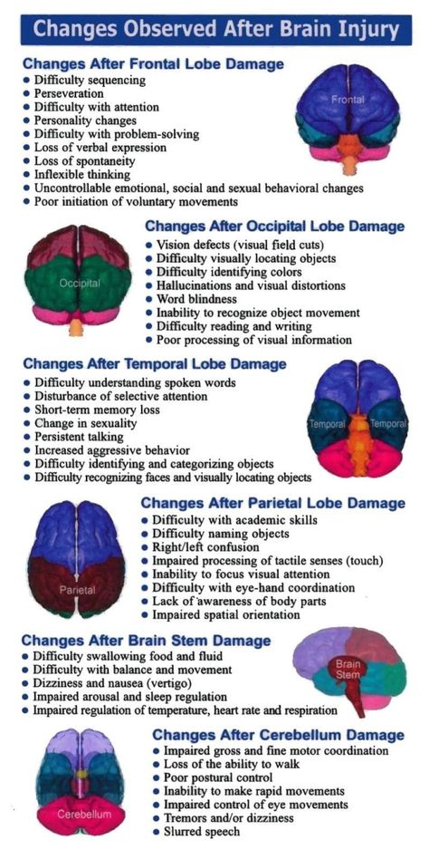 Frontal Lobe Damage, Brain Anatomy And Function, Punkty Spustowe, Psychology Notes, Psychology Studies, Brain Facts, Medical Student Study, Brain Anatomy, Endocannabinoid System