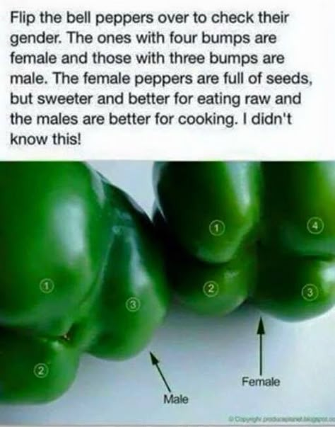 Green Peppers, Astuces Diy, Food Info, Food Facts, Eating Raw, Kitchen Tips, Bell Pepper, Baking Tips, Stuffed Green Peppers