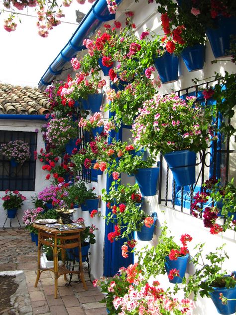 Spanish Style Patio, Spanish Patio, Greek Garden, Mediterranean Patio, Greek Decor, Balkon Decor, Spanish Garden, Patio Wall, Garden Aesthetic