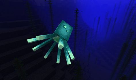 Minecraft Glow Squid, Glow Squid, Envy Me, Gender Identity, Minecraft