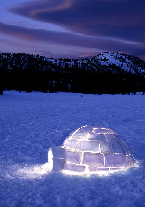 Igloo en Alaska Igloo Aesthetic, Alaska Aesthetic, Portfolio Reference, Cob House, Travel Time, Snow Day, Spotify Playlist, Wonderful Places, Time Travel