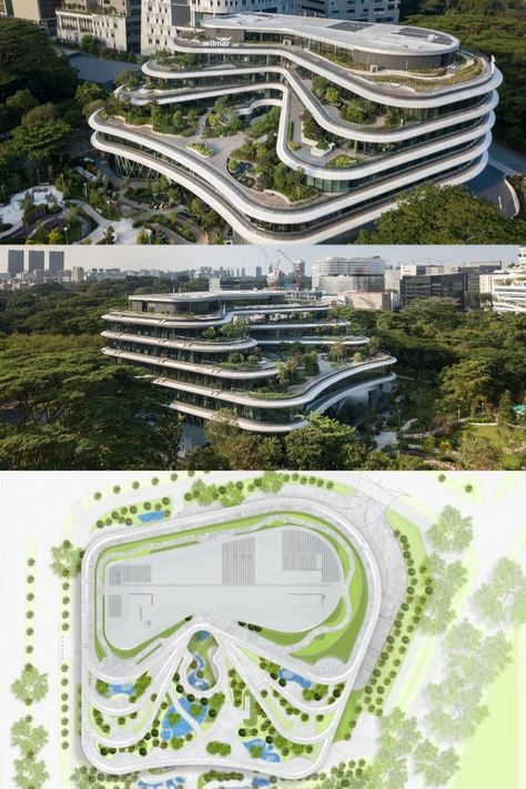 Office Building Plans, Office Design Concepts, Curve Building, Decorating Office, Biophilic Architecture, Singapore Architecture, Hotel Design Architecture, Terrace Building, Building Design Plan