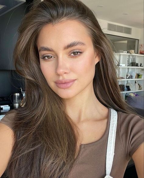 Old Money Makeup Look, Old Money Makeup, Dresses Runway, Paris Nails, Honey Brown Hair, Virtual Girl, Formal Makeup, Hair Inspo Color, Natural Makeup Looks