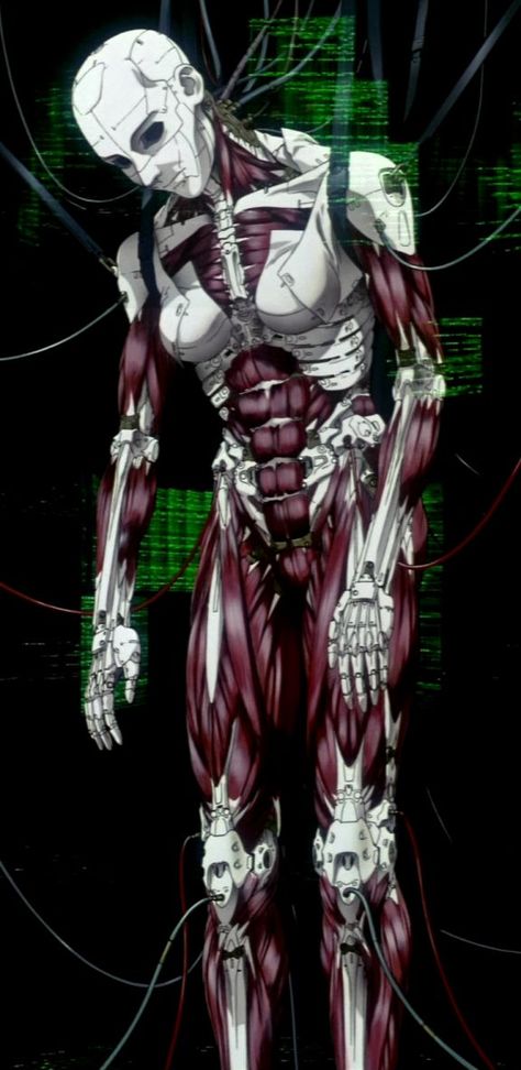 Tags: Anime, Koukaku Kidoutai GHOST IN THE SHELL, Kusanagi Motoko Cyberpsycho Cyberpunk, Cyberpsycho Art, Cybernetic Skeleton, Ghost In The Shell Aesthetic, Ghost In The Shell Wallpaper, Cyberpunk Android, Masamune Shirow, Cyborgs Art, Arte Punk