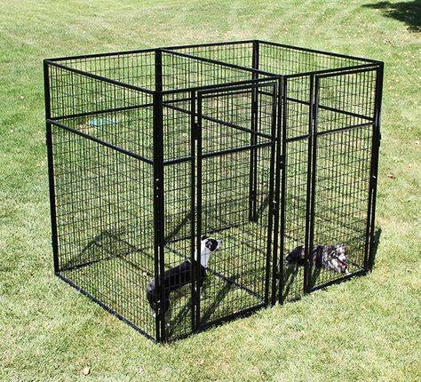 7' Tall multiple kennel! Backyard Dog Kennel, Raised Dog Kennel Outdoor, Backyard Dog Run, Dog Kennel With Run, Large Outdoor Dog Kennel, K9 Kennels, Kennel Ideas Outdoor, Metal Dog Kennel, Heavy Duty Dog Kennel