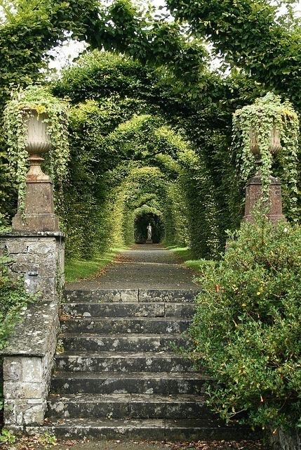 A Garden, Ivy, Entrance, Stone