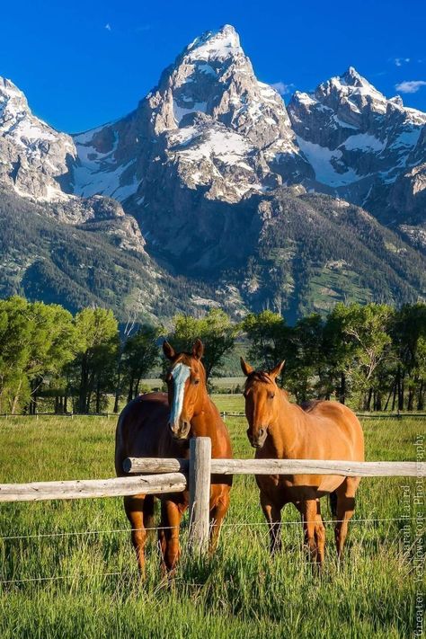 Montana Ranch Aesthetic, Ranch Life Country Living, Ranches In Montana, Ranch Life Aesthetic, Wyoming Farm, Rancho Aesthetic, Wyoming Aesthetic, Setting Aesthetic, Montana Aesthetic