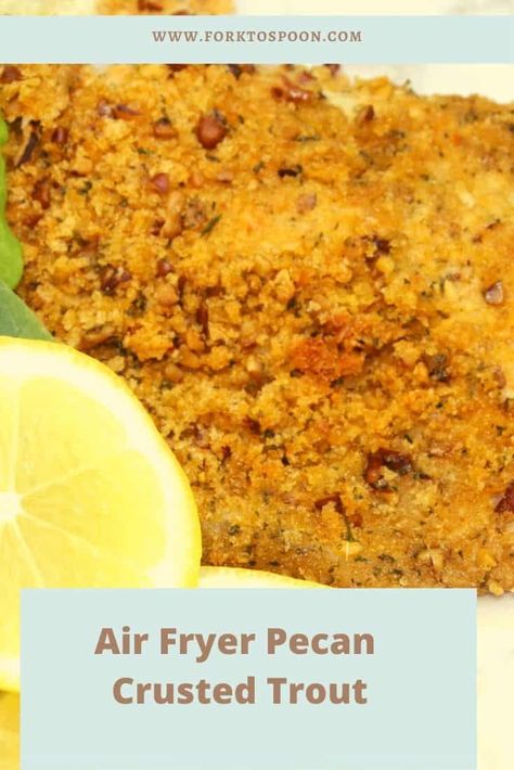 Air Fryer Pecan Crusted Trout - Fork To Spoon Crusted Trout Recipes, Trout Fillet Recipes Air Fryer, Air Fryer Steelhead Trout Recipe, Air Fryer Trout Fillets, Air Fryer Steelhead Trout, Steel Head Trout Recipes Air Fryer, Trout Air Fryer Recipes, Steelhead Trout Recipe Air Fryer, Air Fryer Trout Recipes