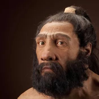 Homo neanderthalensis | The Smithsonian Institution's Human Origins Program Species Of Humans, Human Fossils, Molar Tooth, Tropical Africa, Early Humans, Human Evolution, First Encounter, Online Quiz, Animal Bones