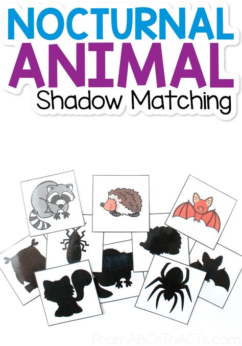 Learn about the animals that come out at night! Match the nocturnal animals to their shadows with this fun, printable matching game! #FromABCsToACTs Nocturnal Animal Math Activities, Forest Animal Silhouette Free Printable, Nocturnal Animals Anchor Chart, Night Animals Preschool Crafts, Nighttime Animals Preschool, Night Time Animals Preschool, Winter Animal Worksheets, Montessori Nocturnal Animals, Nocturnal Animal Sensory Bin