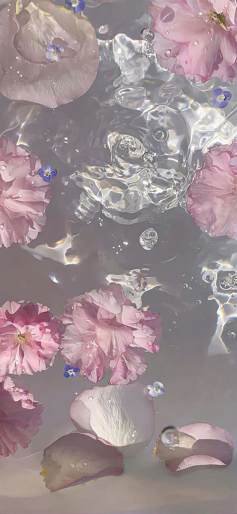 Zflip6 Wallpaper, Tablet Wallpaper Hd, Water Lily Wallpaper, Ipad Design, Aesthetic Scenery, Lily Wallpaper, Backgrounds For Your Phone, Pink Water, Tablet Wallpaper