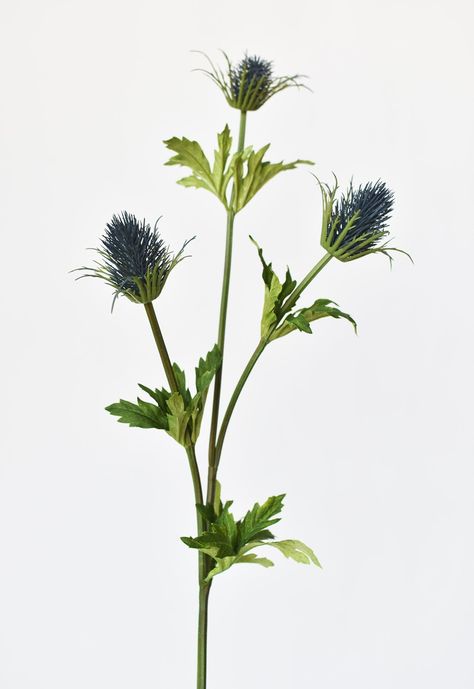 Thistle Blue, Stem Plant, Graduation Bouquet, Blue Thistle, Fall Stem, Lavender Spray, Silk Floral Arrangements, Iris Flower, Flower Stem